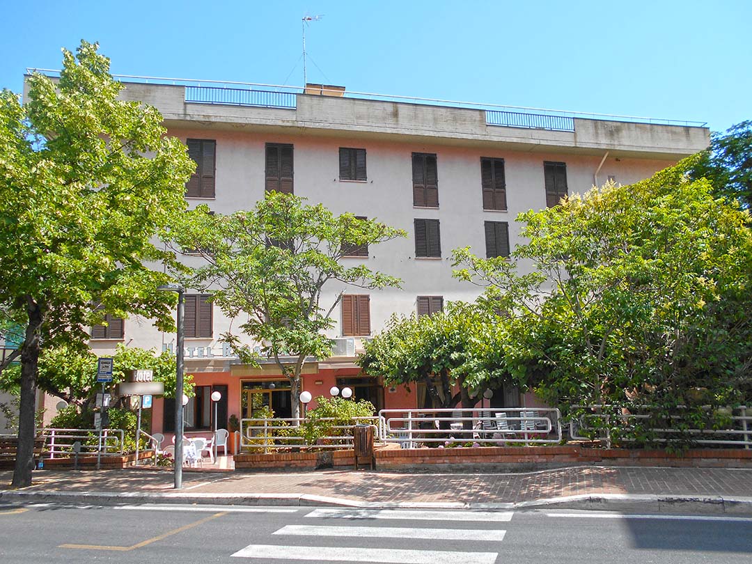 image Alt