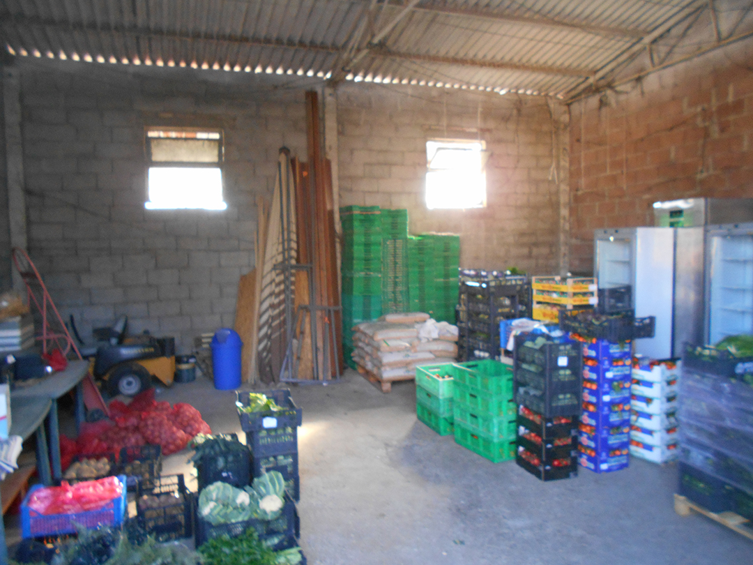 imagealt