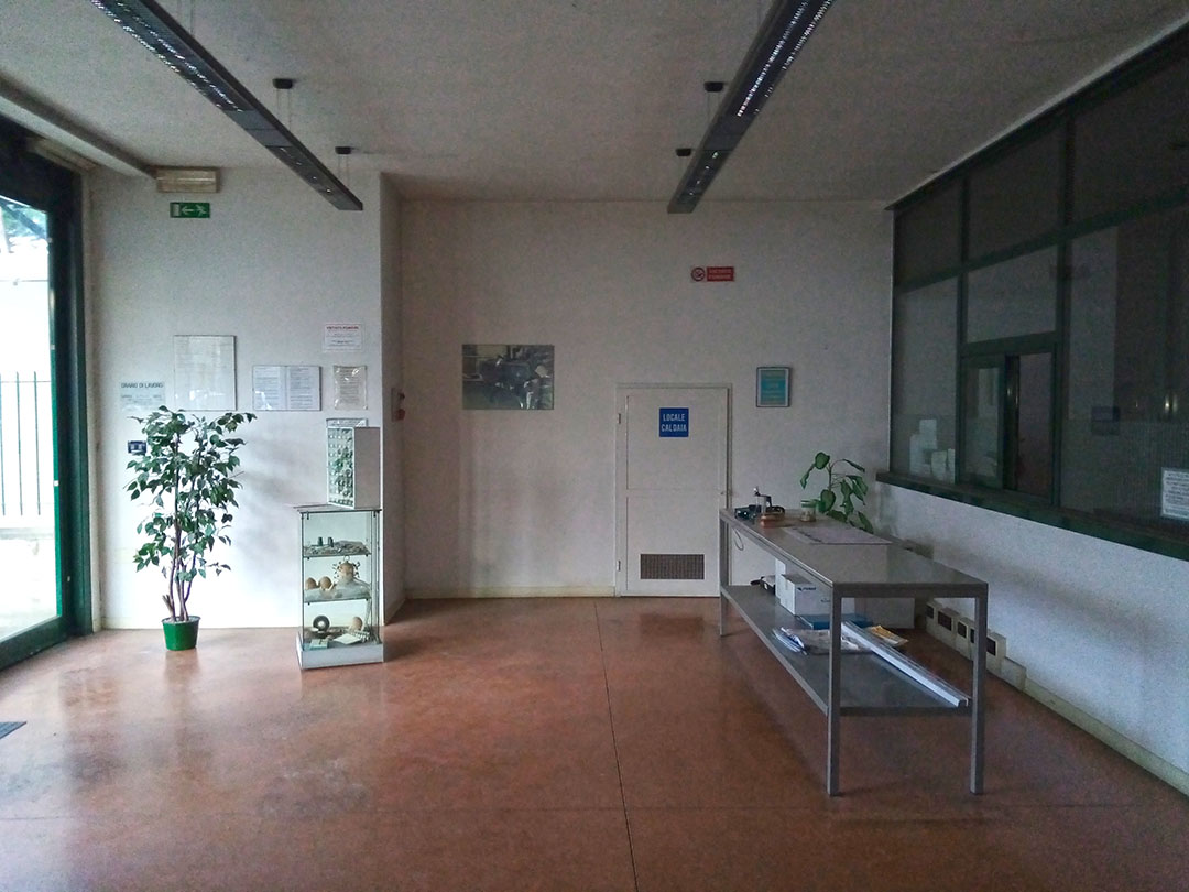 imagealt