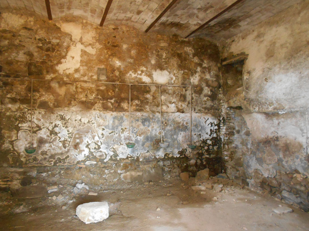 imagealt