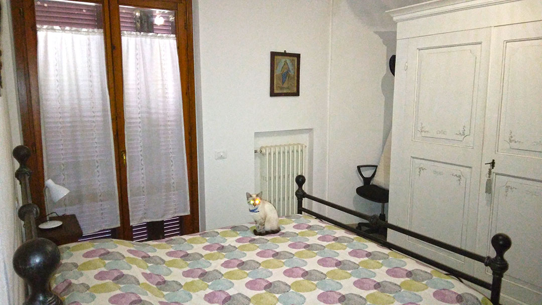 imagealt