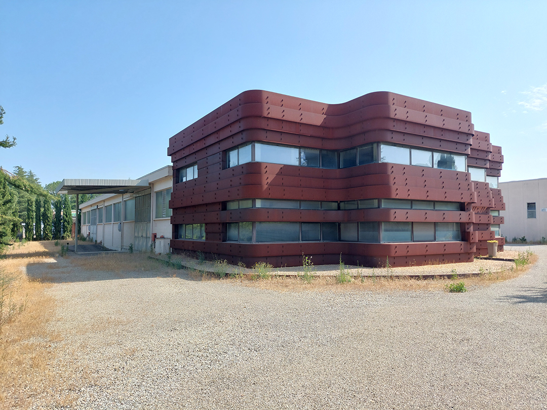 image Alt